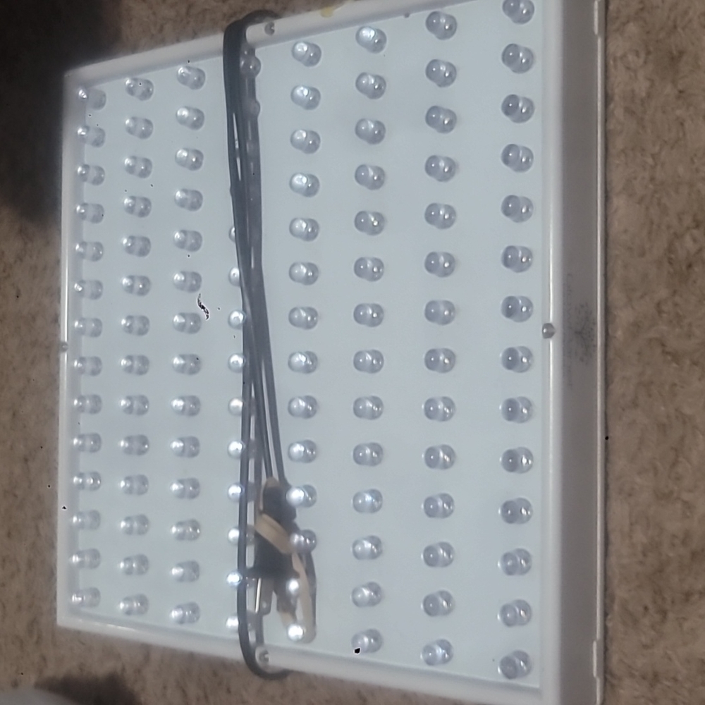 Glow panel LED Grow light